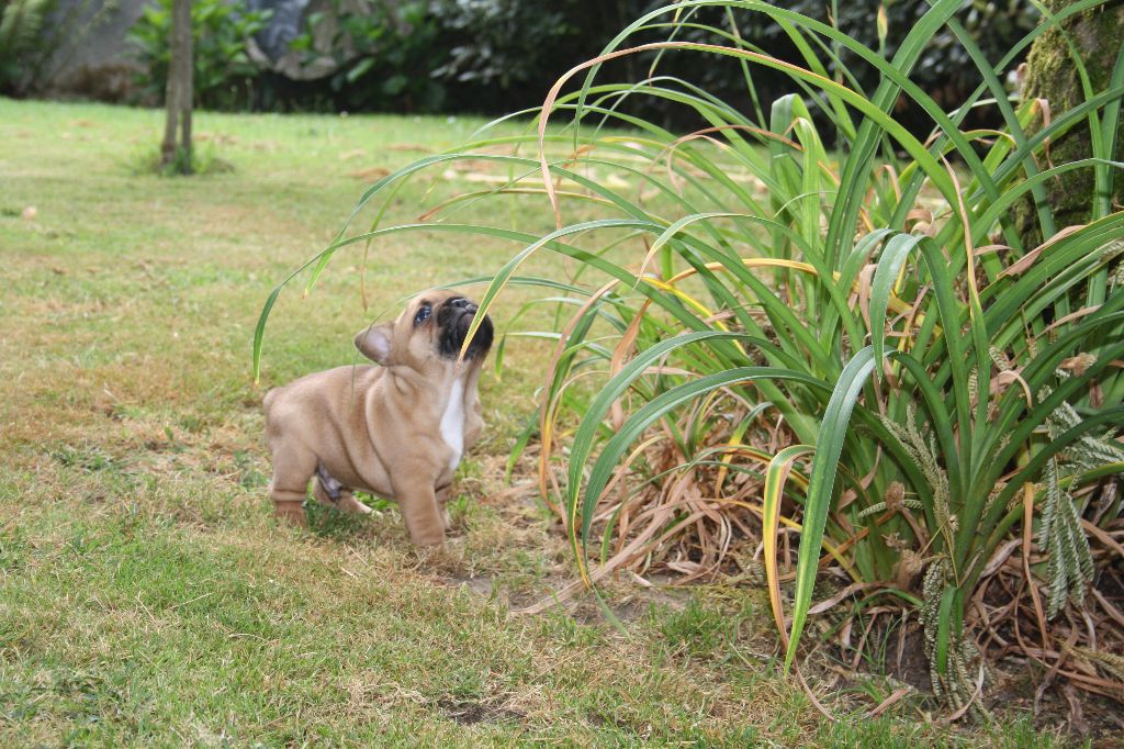 L'Odyssée D'Héraclés - 1 er sortie au jardin