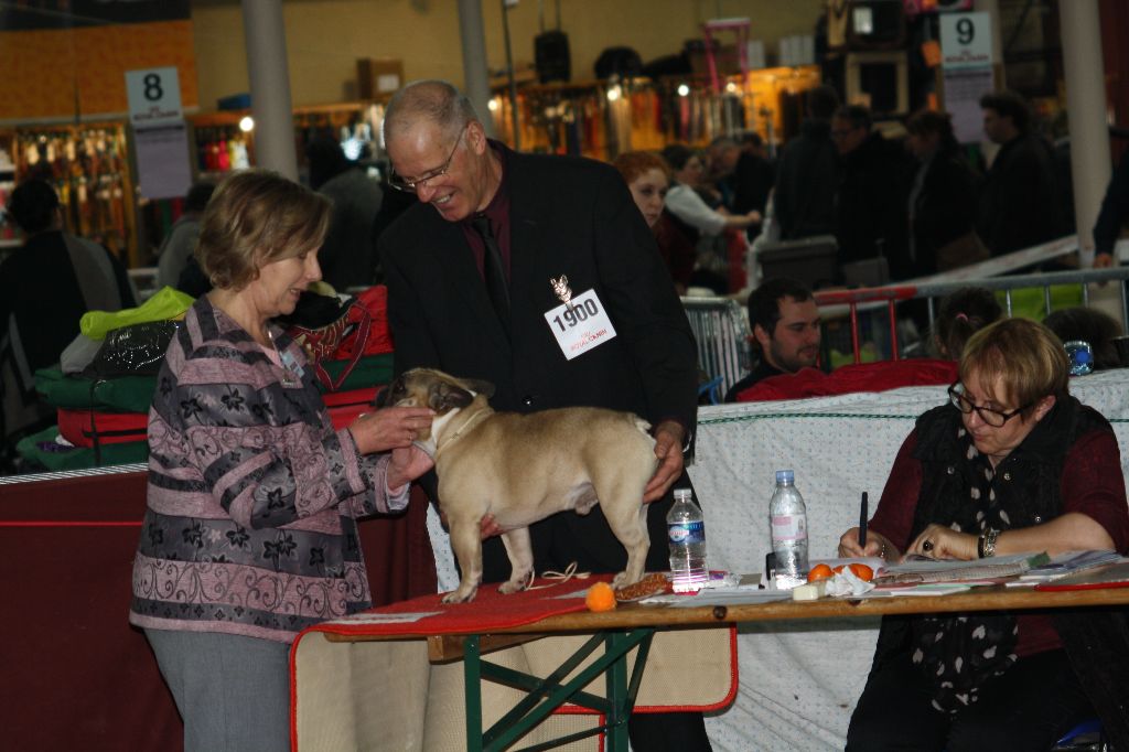 L'Odyssée D'Héraclés - exposition internationale de valence 05/03/2017